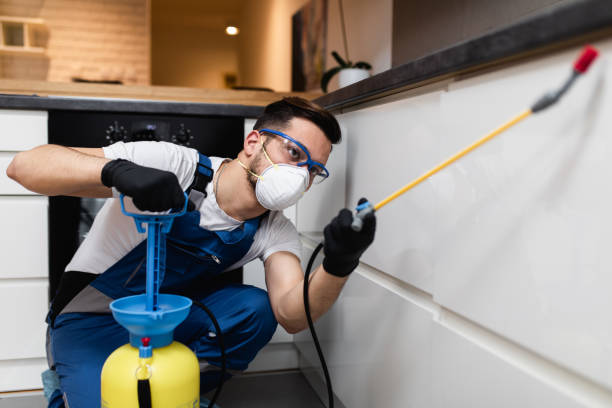 Best Wildlife Control Services  in Hawthorne, NY