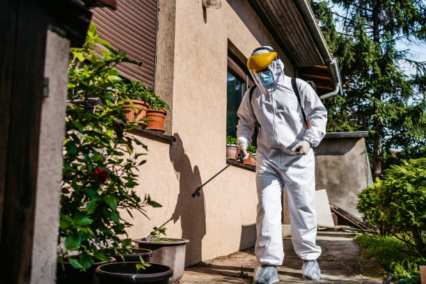 Best Mosquito Control Services  in Hawthorne, NY