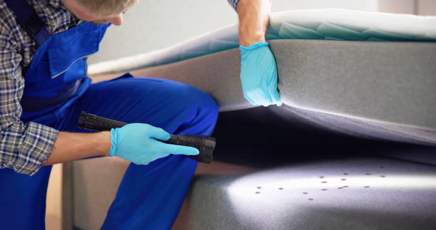 Best Local Pest Control Services  in Hawthorne, NY