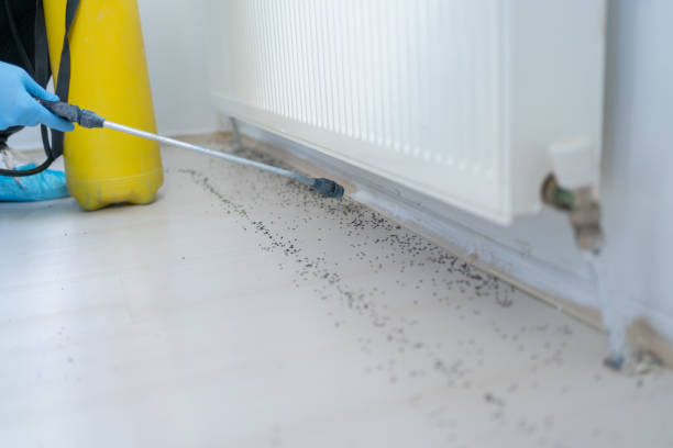 Best Best Pest Control Companies  in Hawthorne, NY