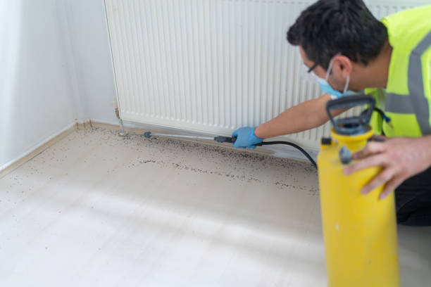 Best Emergency Pest Control  in Hawthorne, NY