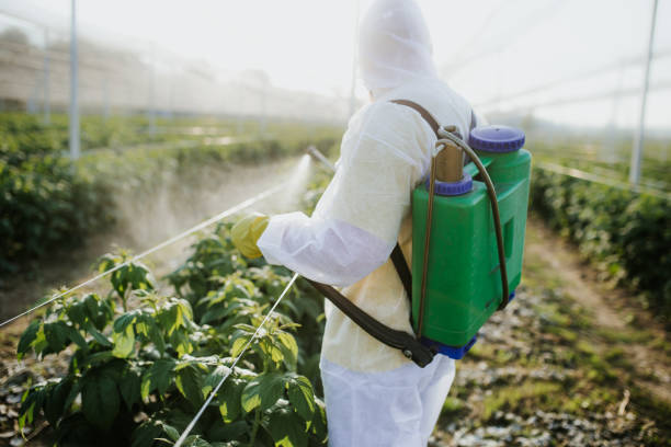 Best Bed Bug Extermination  in Hawthorne, NY